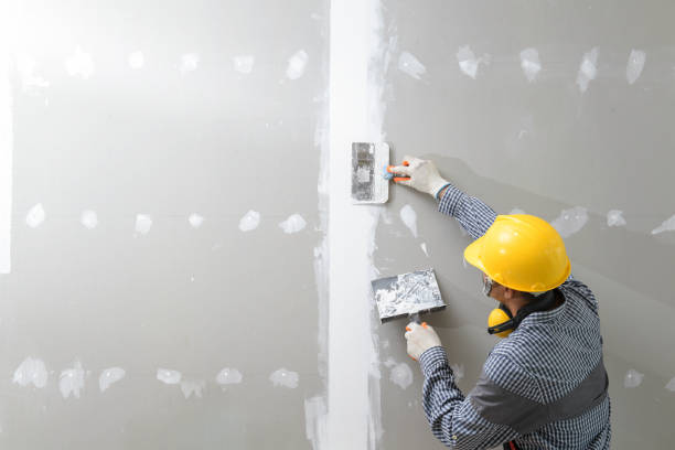 Best Forensic Mold Investigation  in Clifton, TX