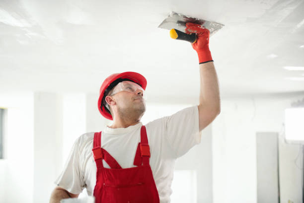 Best Biohazard Mold Removal  in Clifton, TX