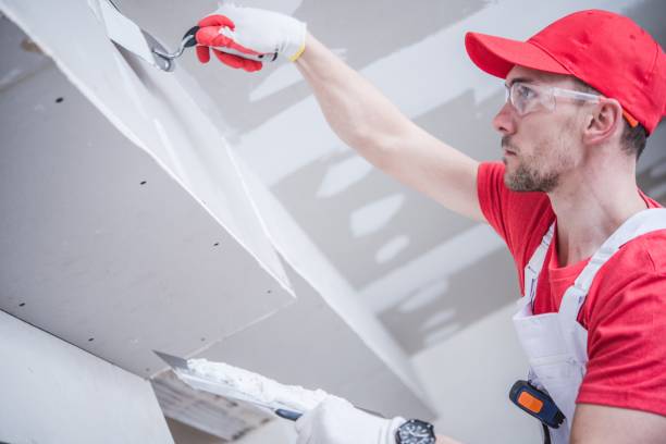 Best Attic Mold Removal  in Clifton, TX